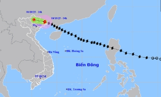 Tin bão trên đất liền